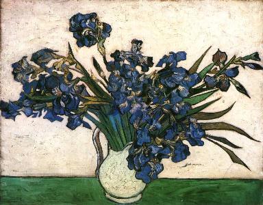 irises